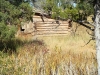 dennis-jt-bighorn-canyon-ride-032