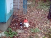 image-13