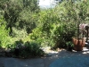 patioview