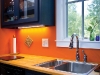harbinger-kitchen_sink