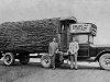 log-office