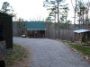 pinetop3