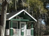 live-oak-16