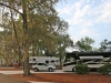 live-oak-18