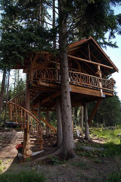 Outa the Woods Tree House
