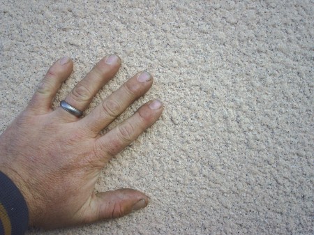 S4010029_JPG S4010029_JPG