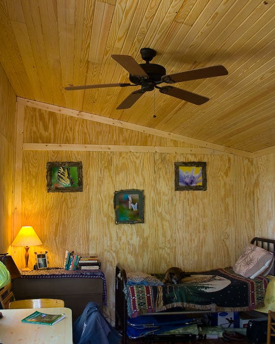 cabinbedroom