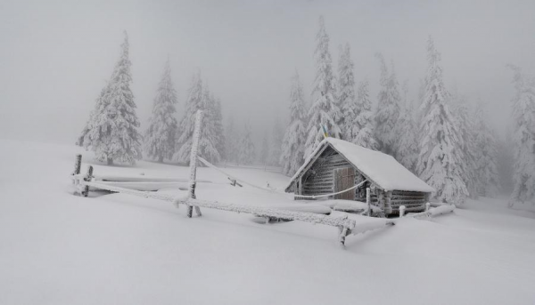 cabin4