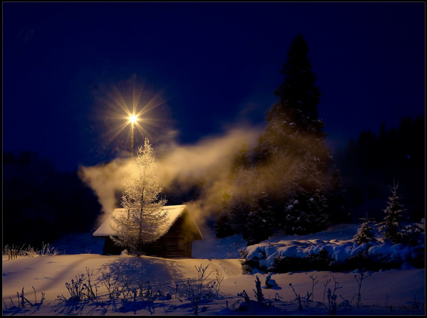 cabin star