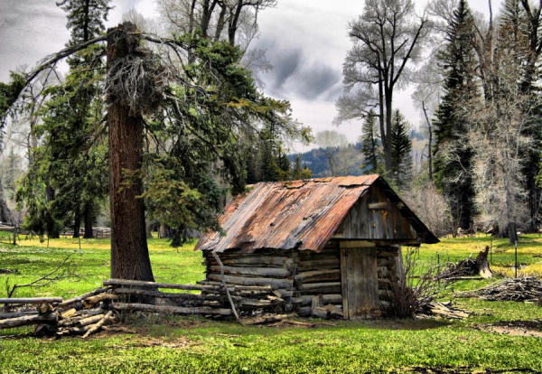 cabininthewoods