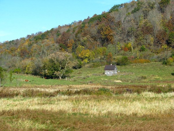 Wisconsin-cabin-and-cows-sm