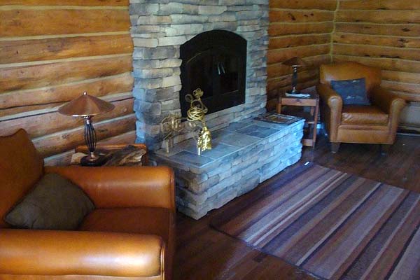 cabin stove insert