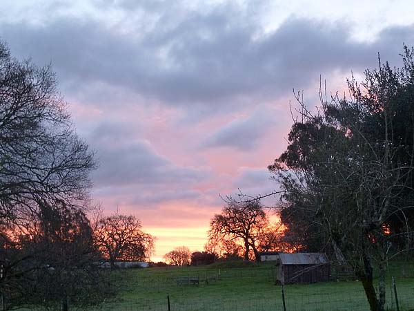Sunrise from my window