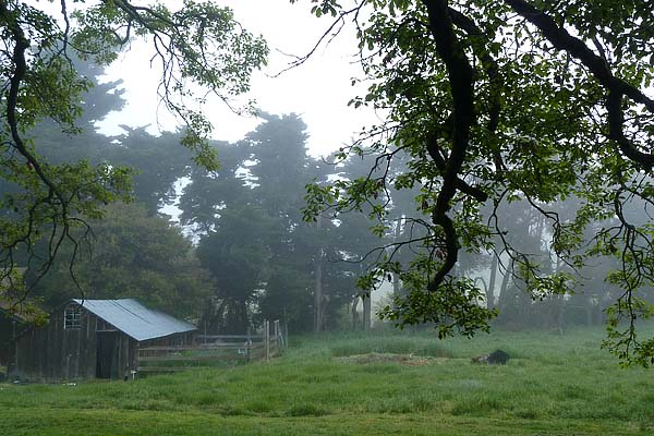 The view to the barn