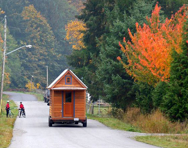 Will's Tumbleweed Tarleton