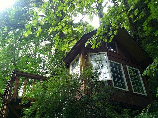looking up to cabin