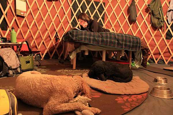 lounging inside the yurt