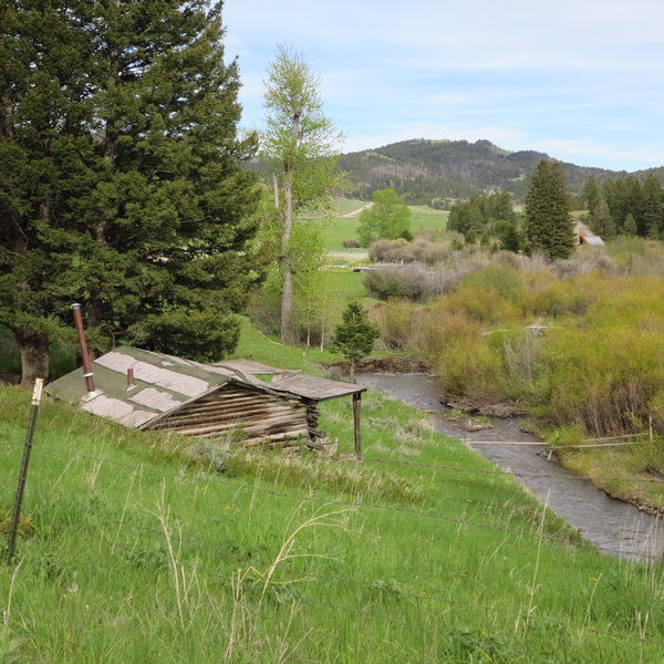 Shields River cabin