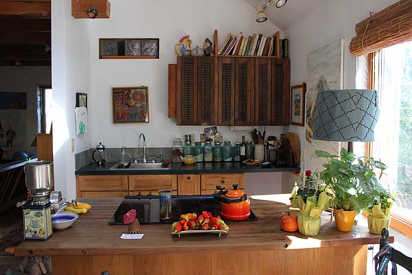 Day House_kitchen from door