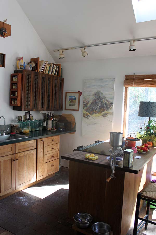 Day House_vertical kitchen