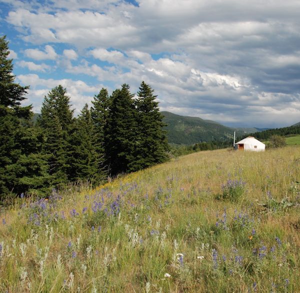 Yurt in Summer
