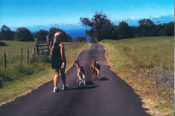 walking the goats