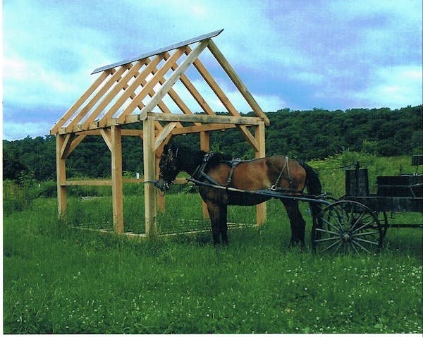 timber frame and horse