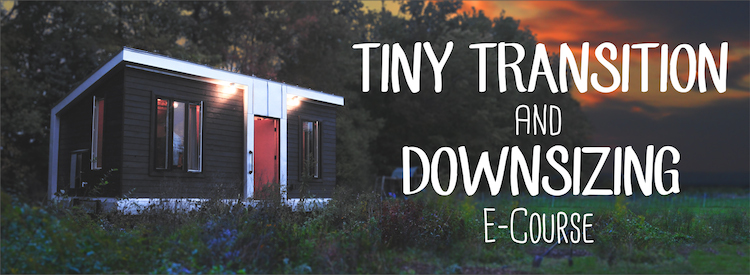 Tiny Transition E-Course