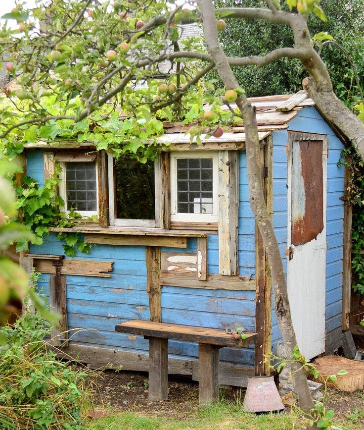 allotment-shed