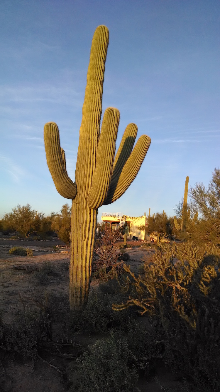 IMG_20150127_173807316