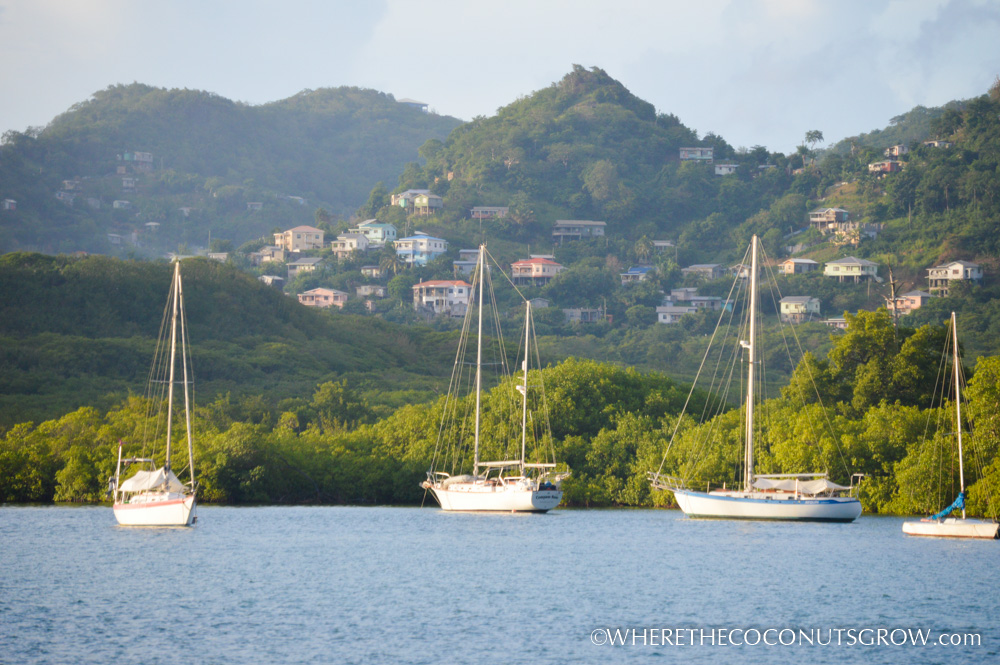 random grenada-42