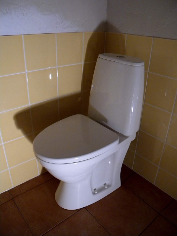 toilet