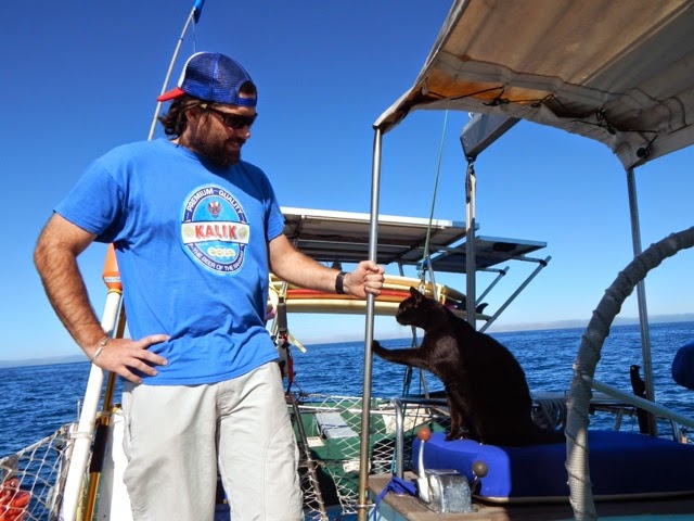 blogger-image-1868616087