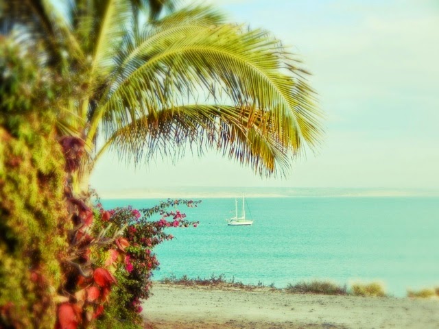 blogger-image--948867321