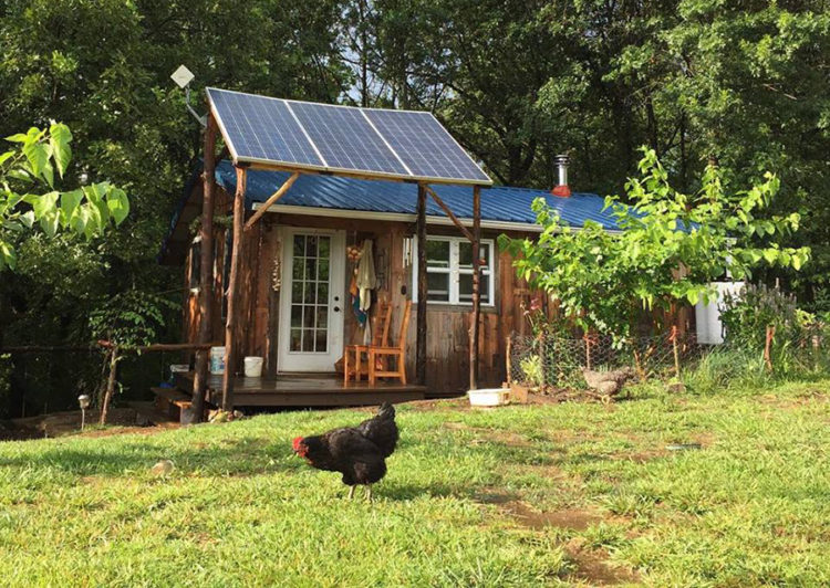 HomesteadHoney-TinyHouse-garden