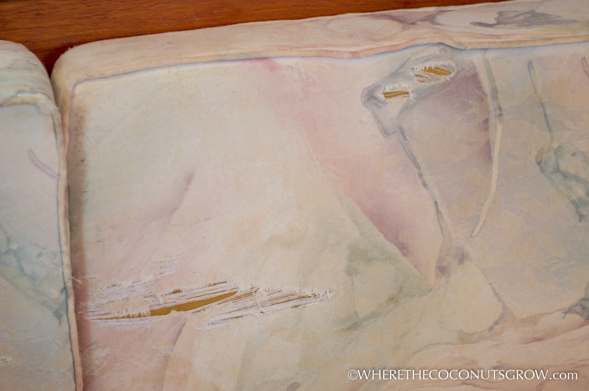 SAILRITE cushions-23