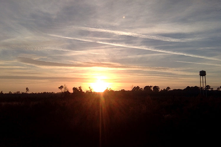 Sunrise