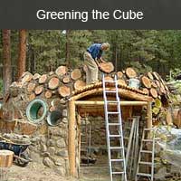 greening the cube