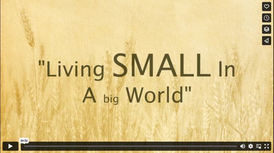 Living Small in a big world