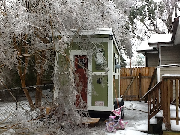 The Nest in the ice storm
