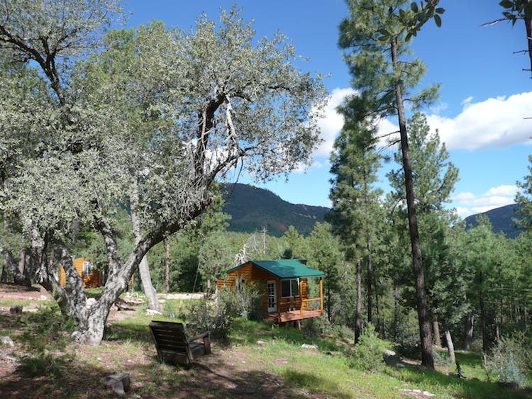 Mountain retreat cabins