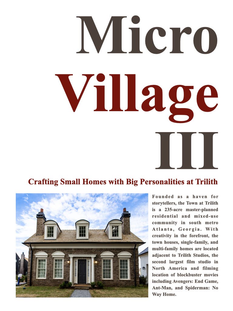 micro village