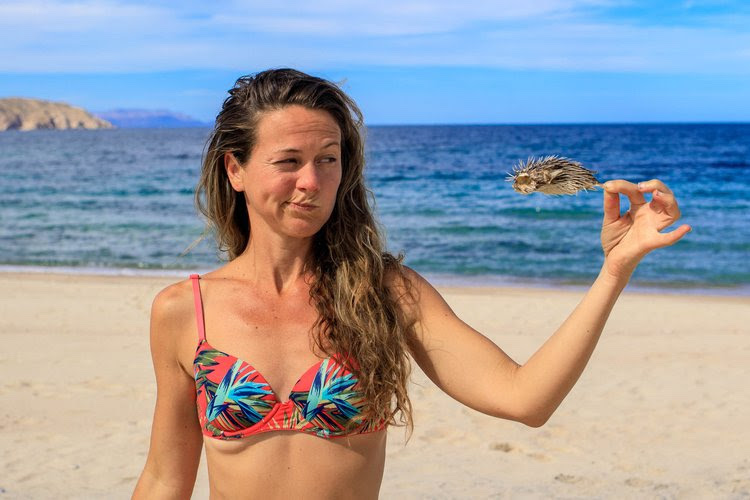 Kit holding a skeleton