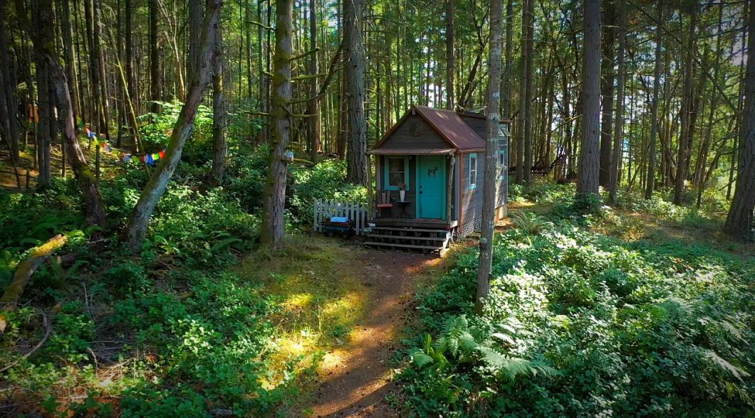 tiny house parked on an island