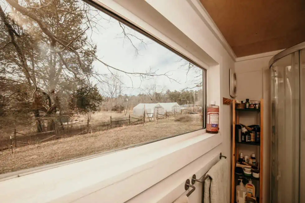 window 