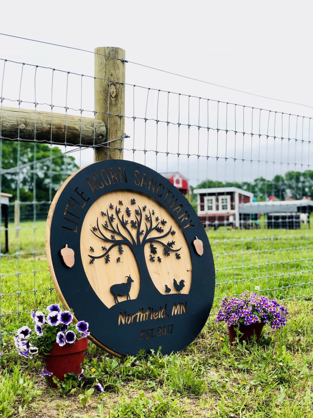 Little Acorn Sanctuary