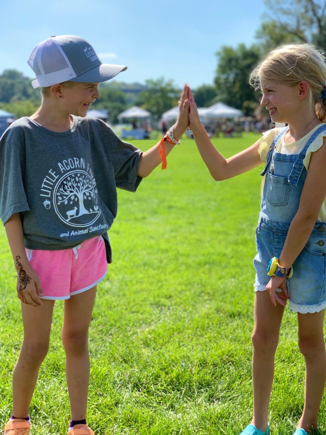 Little Acorn Sanctuary