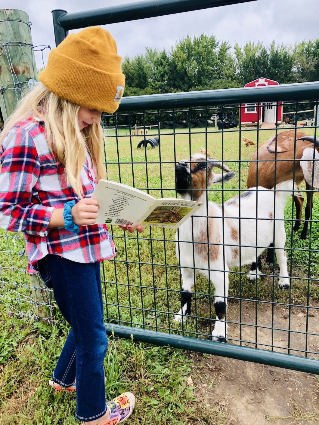 Little Acorn Sanctuary