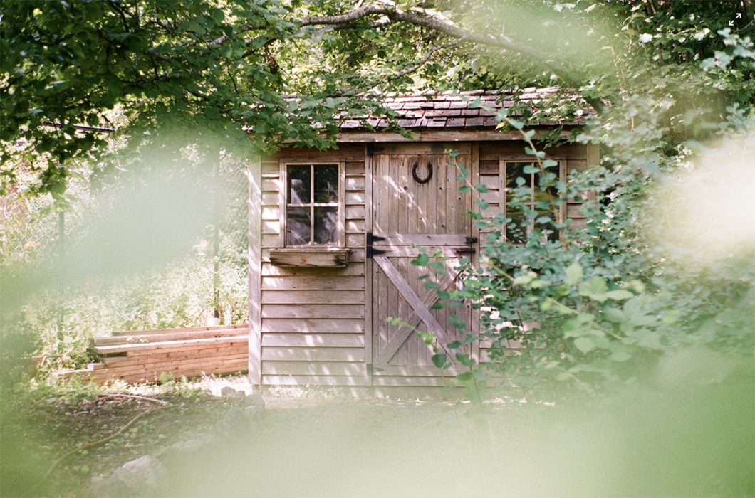 Shed photo by Sebastian Huxley