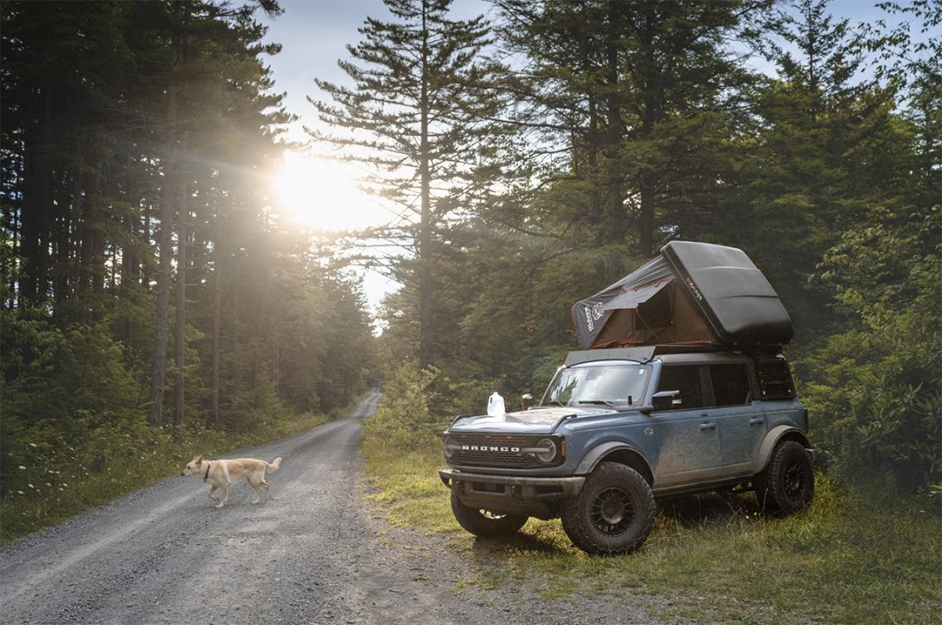 Overlanding vehicle with dog